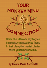 Buy Your Monkey Mind Connection
